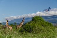 2012 Kenya and Tanzania